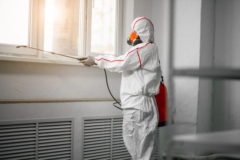 Professional mold remediation services in Chepachet, RI